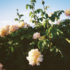 Benched (voice memo)