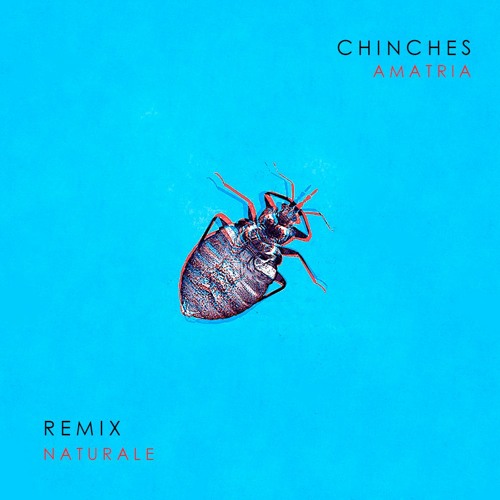 Stream Amatria - Chinches (Naturale Remix) *FREE DOWNLOAD* by Naturale |  Listen online for free on SoundCloud