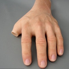 The Left Hand And The Right Hand