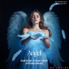 DaniHaDani & Sivan Talmor - Angel (Mr Karlos Remix)