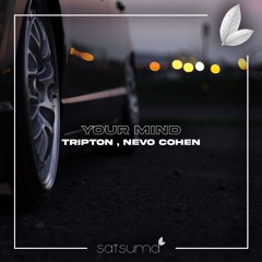 Tripton, Nevo Cohen - Your Mind (Da Da Da)