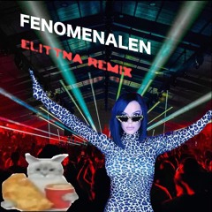 Fenomenalen - Elittna Remix