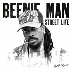 Beenie Man - Street Life (NoD Remix)