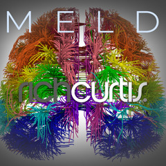 MELD [A1] feat. Filip Galiza (USA)