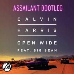 Open Wide (Assailant WSHK Bootleg)