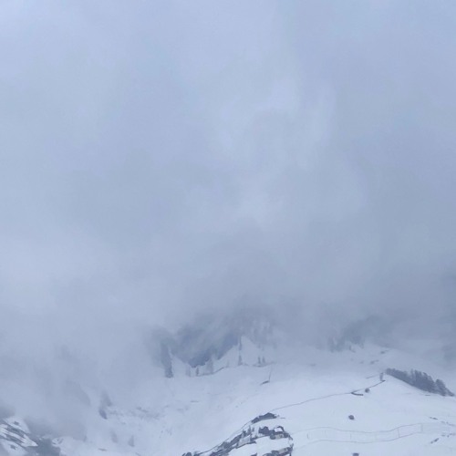 moonrocks (prod. cedisuus & dbs)