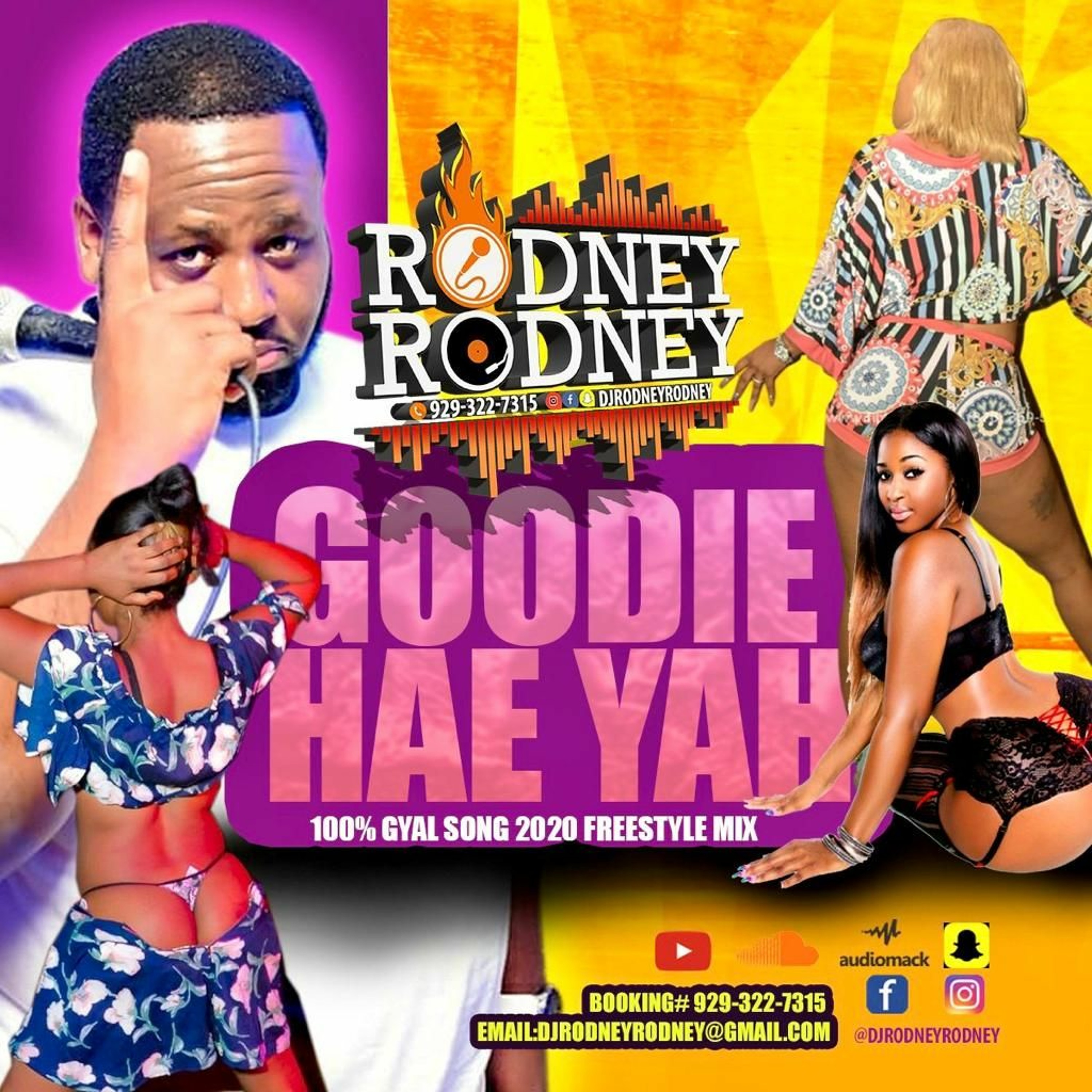 RODNEYRODNEY Pres.GOODIE HAE YAH 100% 2020 GYAL SONG FREESTYLE MIX episode artwork