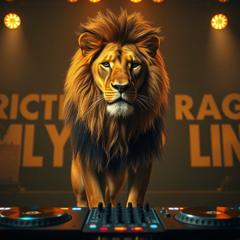 BEST OF DJ STP BOOTLEGS MIX