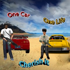 One Car, One Life