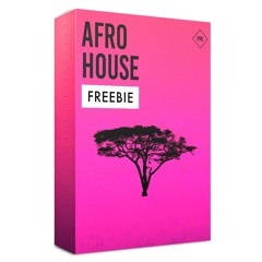 PML - Afro House - Feel (Live 11.1 And Serum)