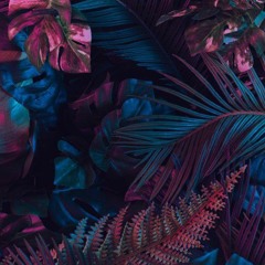 DKTD - 27.05.2024 (Techhousemix)