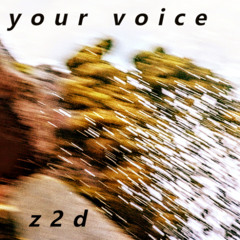 Your Voice