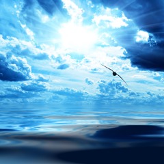 sea