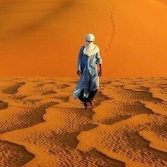 Desert's Walkers