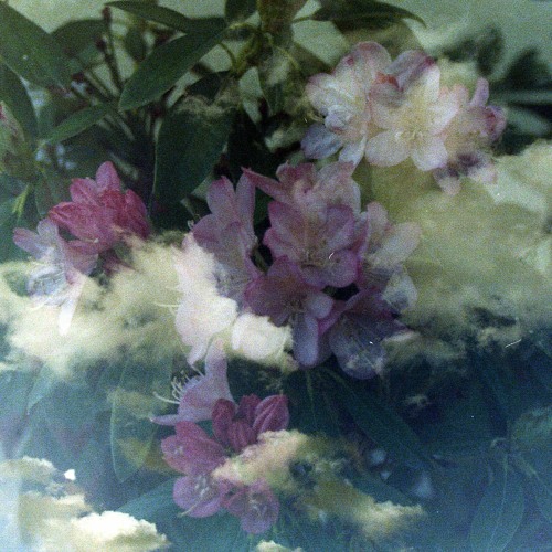 she smells like flowers (The Hidden Patio)