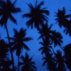 MTODD - No Heart (Exclusive)