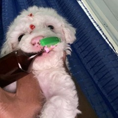 @MACETADA DE LEVE NO 130 BPM [PROD. YGOR BALLA] ESQUEÇA TUDO KKKKK