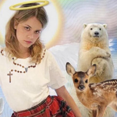 Dasha Fried by fluoride cover