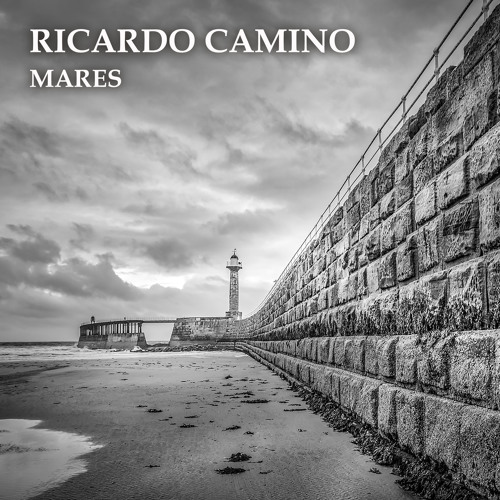 Stream Que Triste Fue Decirnos Adiós by Ricardo Camino Listen online