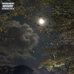 at the moon (prod. mild+hellrxin)