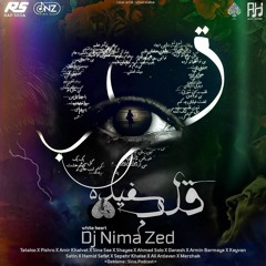 Ghalbe Sefid 5 (Dj Nima Zed)