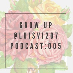 luisvi207 - Grow Up.mp3