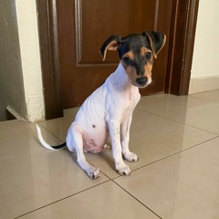 25 Roblox Death Sound Variations in 60 Seconds.mp3