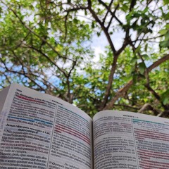 Me_amo_con_un_amor -Himno 137 🌺 Loved with Everlasting Love-Hymn 284 🌹 🌹