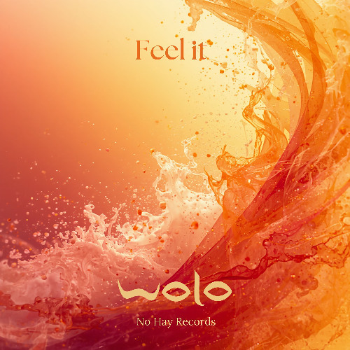Stream FEEL IT (Pre-release for Soundcloud subscribers) by WOLO ...