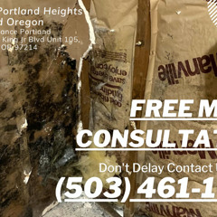 Mold Removal Portland Heights Portland Oregon - Pure Maintenance Portland - 503-461-1006