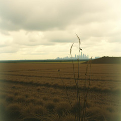 Harvest of Dust