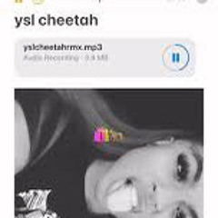 ysl cheetah (remix)