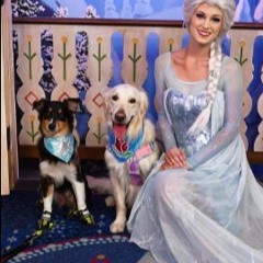Disney Frozen