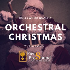 A Christmas Adventure