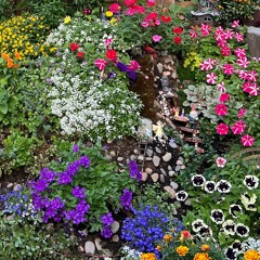 Hurry Up, I Have to Love Vomit