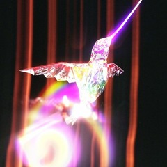 LiLBadSnack 10th Contest Electronic Birds