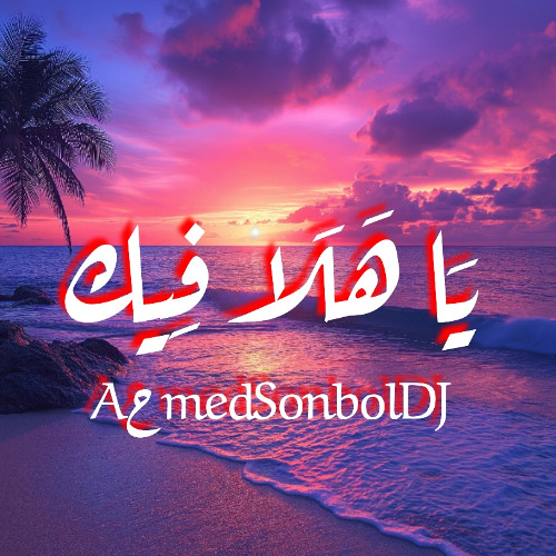 Aحmed Sonbol DJ | يَا هَلَا فِيك