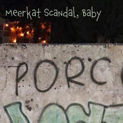 Meerkat Scandal, Baby