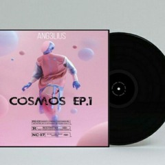 01.COSMOS