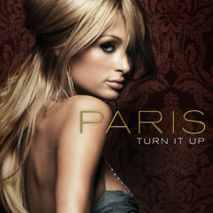 Turn It Up (Paul Oakenfold Remix Edit)