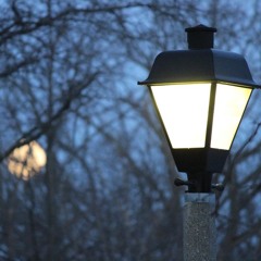 Cinema Tonight - R.I.P. Peter Bogdanovich - 2022-01-08