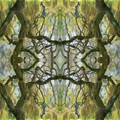 SXRRY [LoopDiggers Sunday Roulette N° 70]