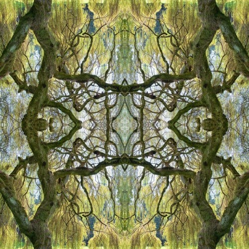 SXRRY [LoopDiggers Sunday Roulette N° 70]