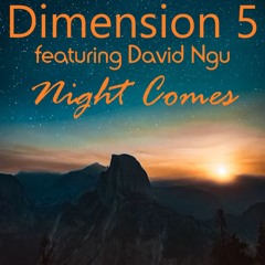 Dimension 5 ft David Ngu - Night Comes