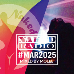 Classic & Soulful House Mix / Naked Radio #005