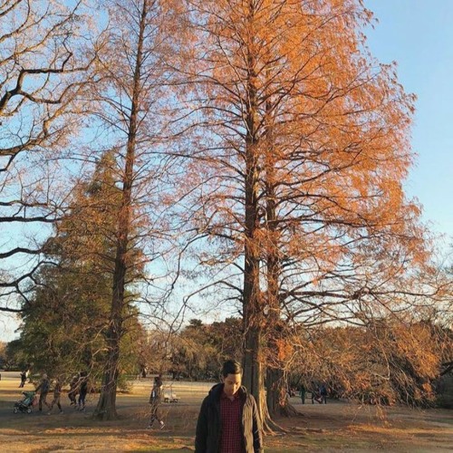 She Lays Down (The 1975)