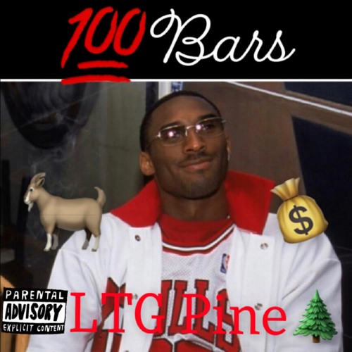 Pine- 100 Bars