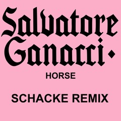 Salvatore Ganacci - Horse (Schacke Remix)