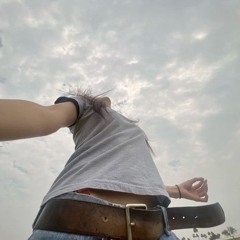 Fly away