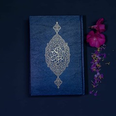 Most Beautiful & Emotional Recitation of Quran Surah Al Hashr by World Best Qari Sherif Mostafa
